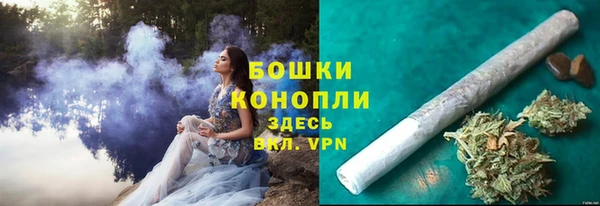 гашик Вяземский
