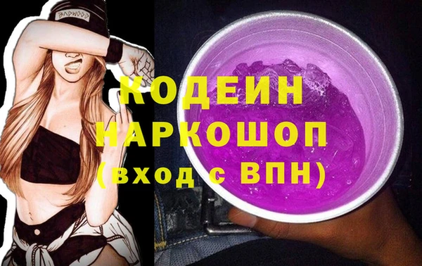 гашик Вяземский