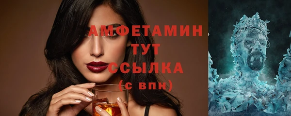 гашик Вяземский
