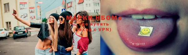 гашик Вяземский