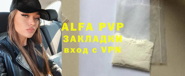 гашик Вяземский