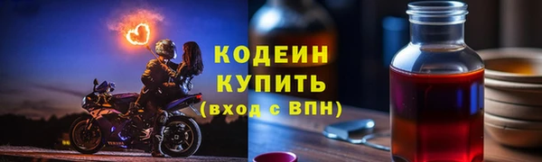 гашик Вяземский