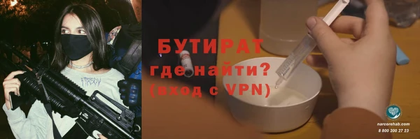 гашик Вяземский