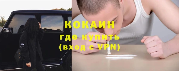 гашик Вяземский
