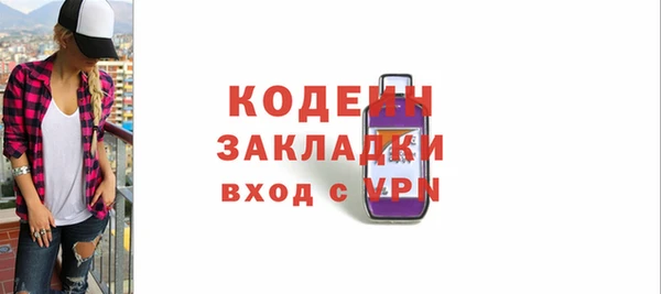 гашик Вяземский