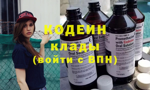 гашик Вяземский