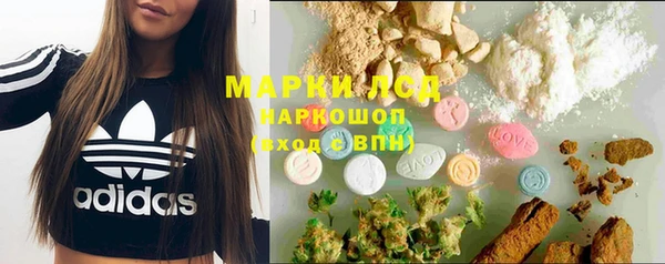 гашик Вяземский