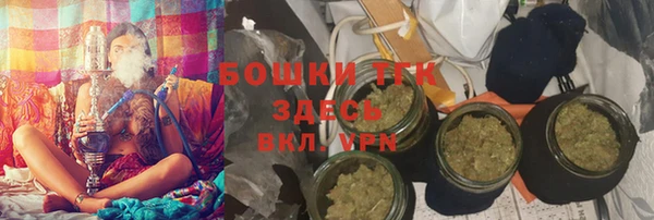 гашик Вяземский